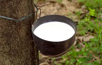 Natural Rubber