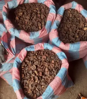 Dried split kolanuts (Cola Nitilda)